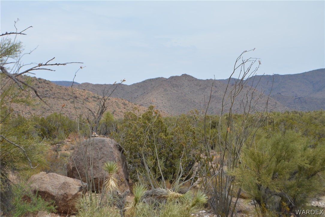 Lot 23 South Cheyenne Road Yucca, AZ 86438 - Photo 8 of 43 Gallery Image 8