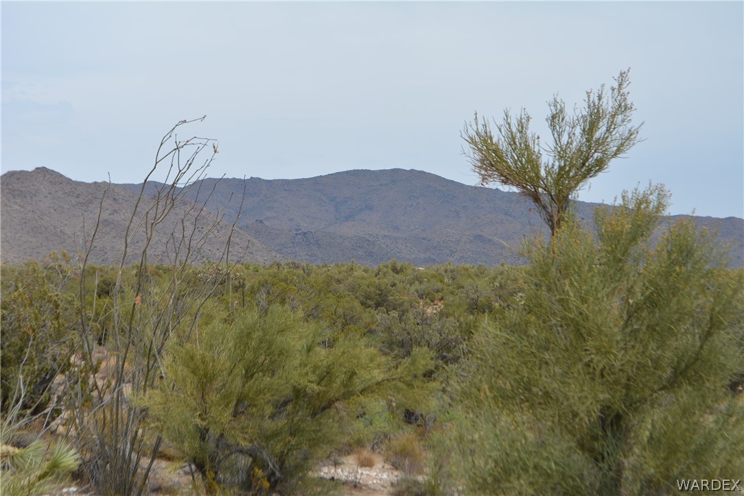Lot 23 South Cheyenne Road Yucca, AZ 86438 - Photo 9 of 43 Gallery Image 9