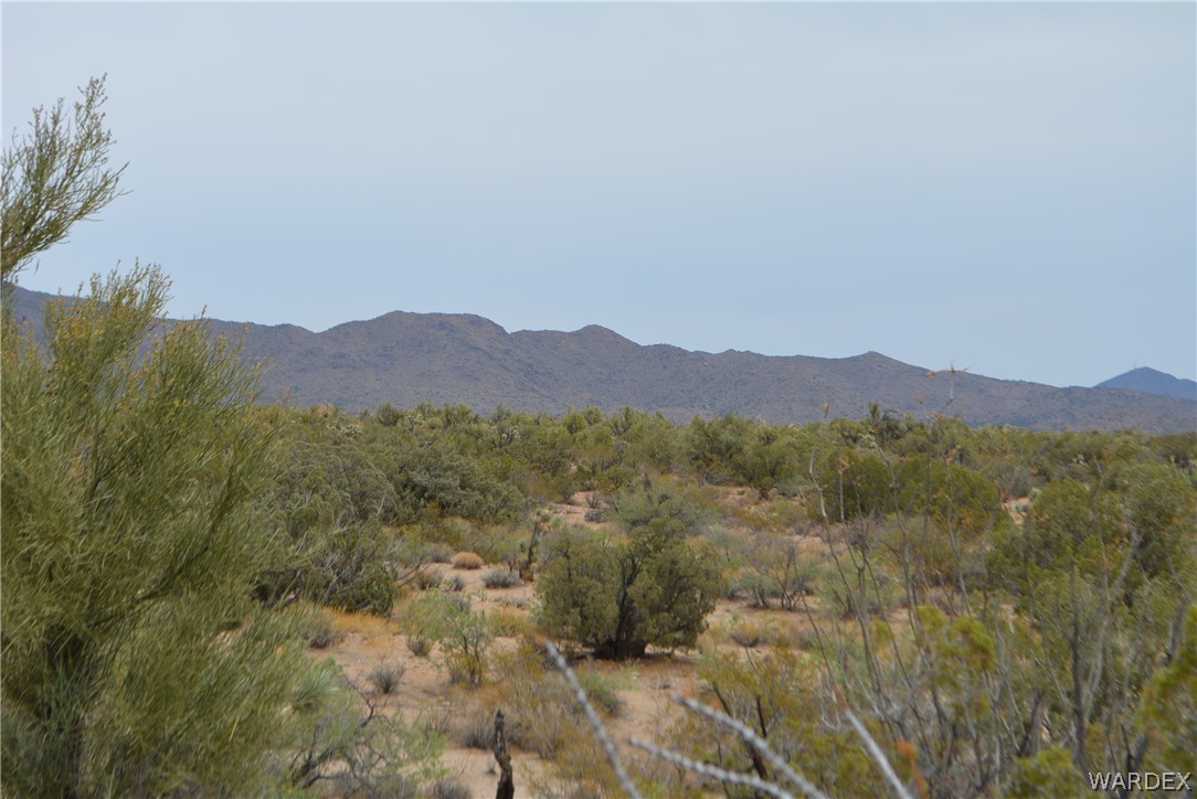 Lot 23 South Cheyenne Road Yucca, AZ 86438 - Photo 10 of 43 Gallery Image 10
