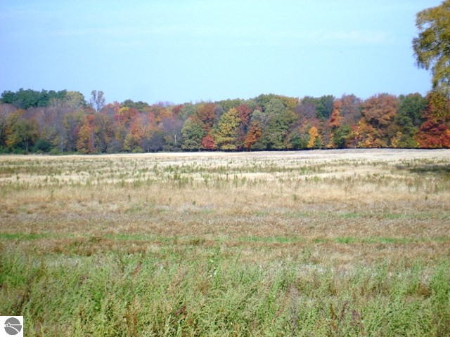 2701 East Millbrook Road Mount Pleasant, MI 48858 - Photo 5 of 12 1777948-5.JPG