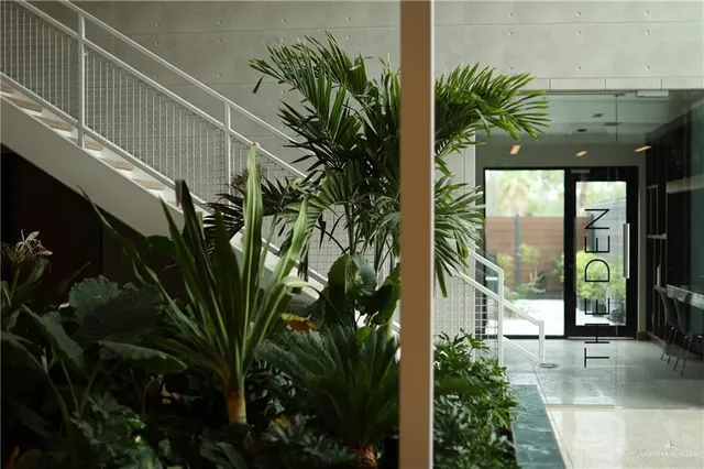 a view of a palm plant from a balcony