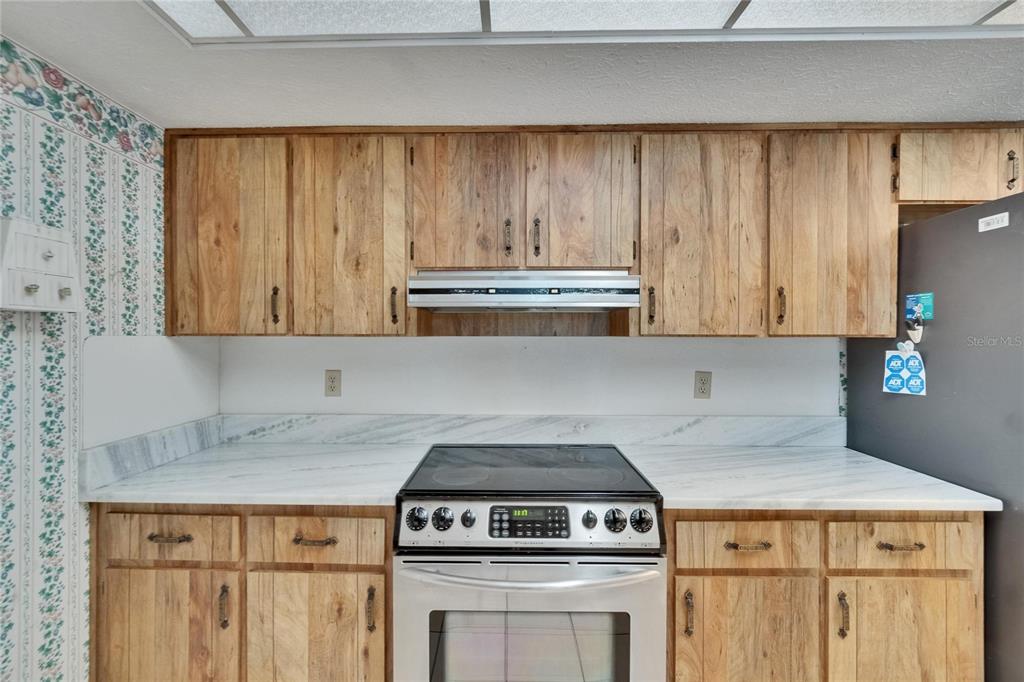 3102 East Trapnell Road Plant City, FL 33566 - Photo 63 of 100 Gallery Image 63