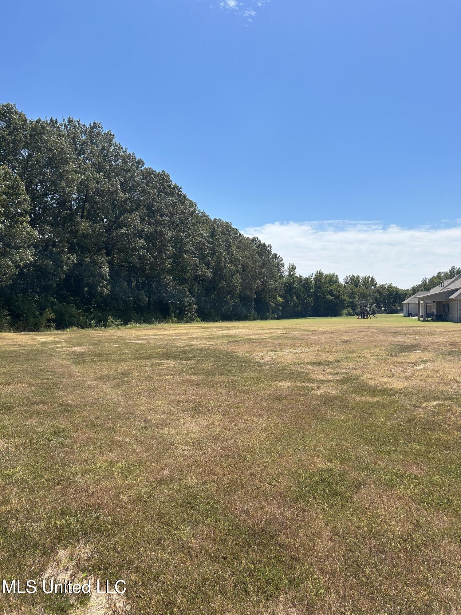 1411 Clair Circle South Hernando, MS 38632 - Photo 32 of 33 yard