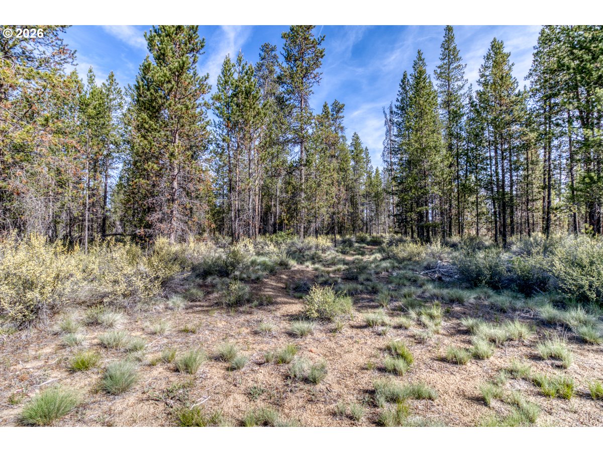 54592 Huntington Road Bend, OR 97707 - Photo 12 of 27