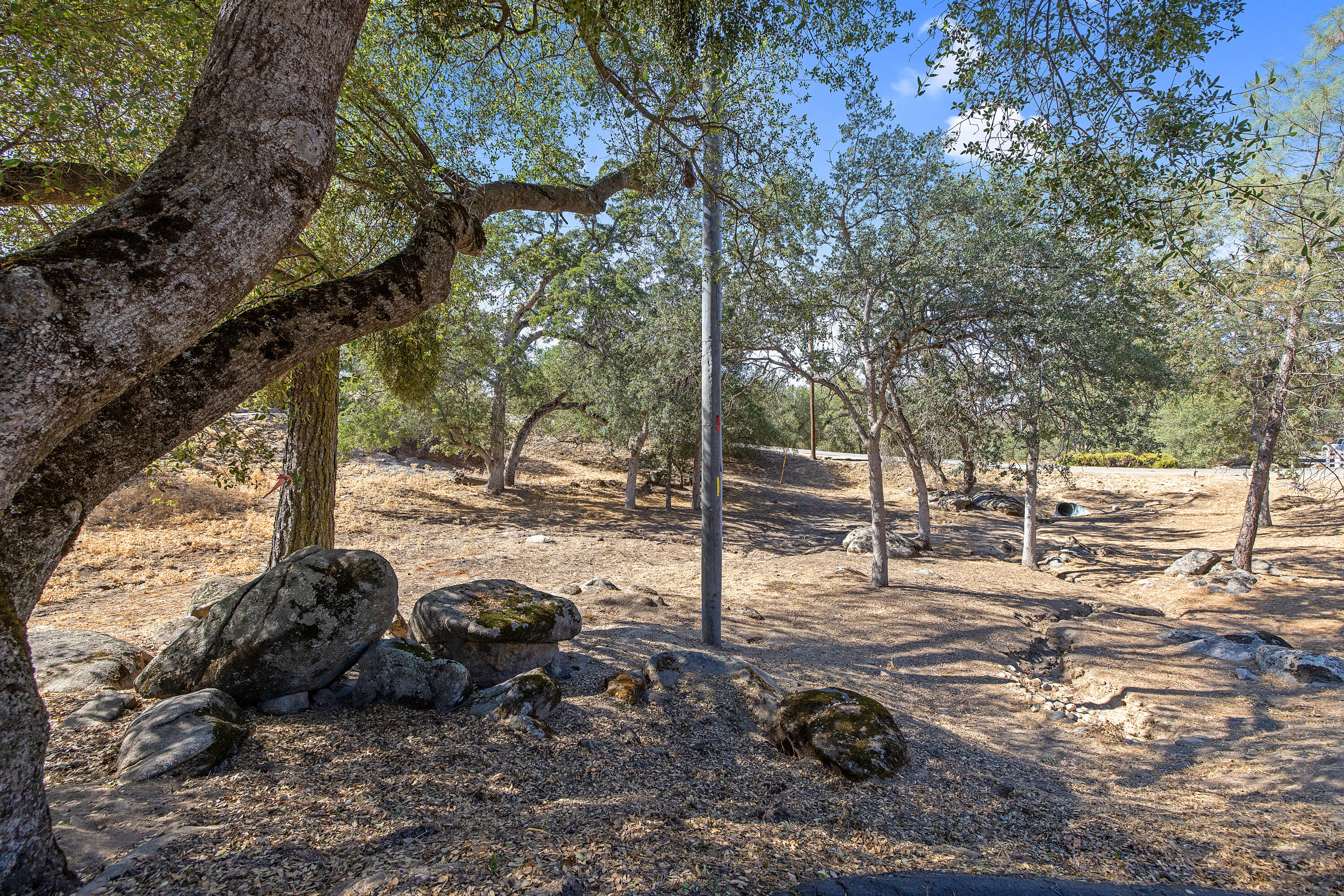 29529 Revis Road Coarsegold, CA 93614 - Photo 33 of 57 713A8323