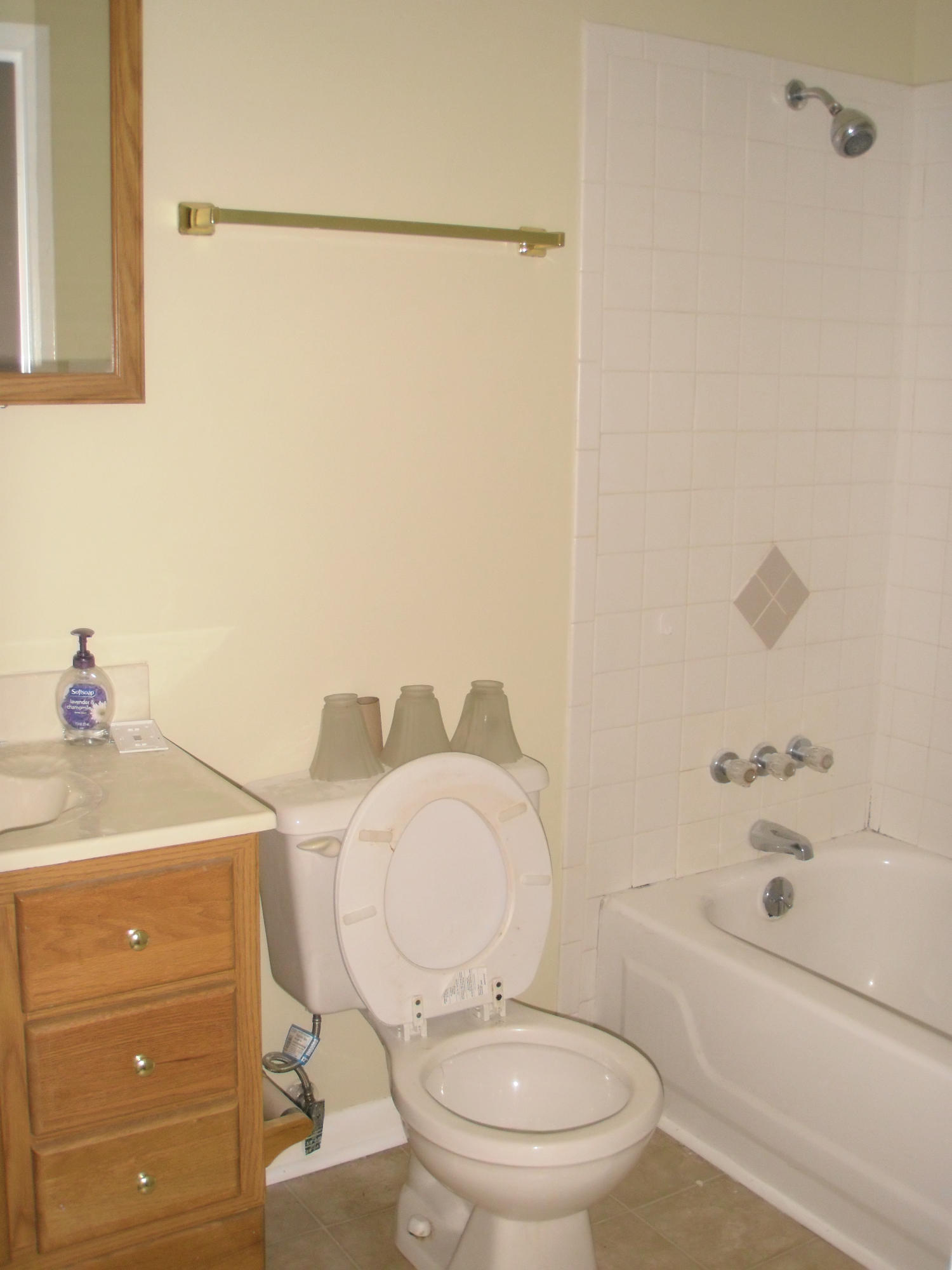 4408 Mascarene Road, Unit 1 Knoxville, TN 37921 - Photo 4 of 8 P8060018