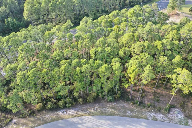 $74,000 | 3469 Firefly Circle, Unit LOT 125 WEST, Sopchoppy, FL 32358