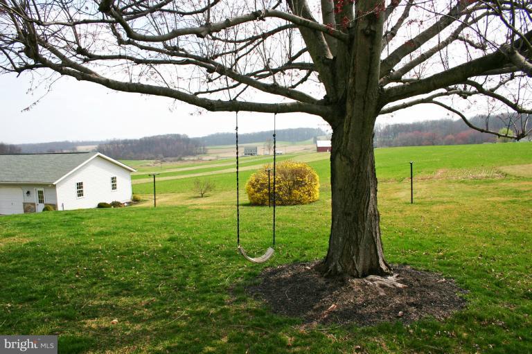 4603 Lower Beckleysville Road Hampstead, MD 21074 - Photo 11 of 28 The tree swing awaits the new family.
