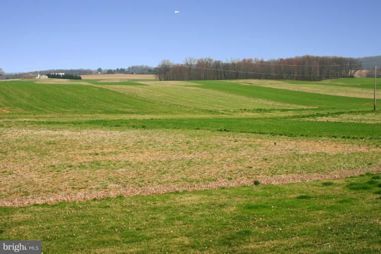 4603 Lower Beckleysville Road Hampstead, MD 21074 - Photo 15 of 28 There are views of farm land from the patio.