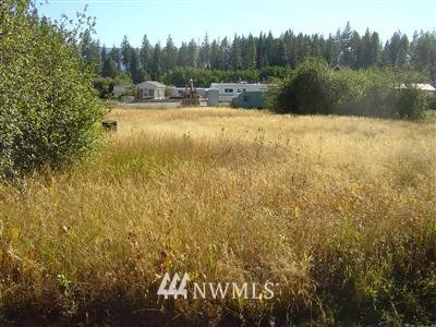 60 Ronald Ridge Drive Ronald, WA 98940 - Photo 1 of 1 Gallery Image 1