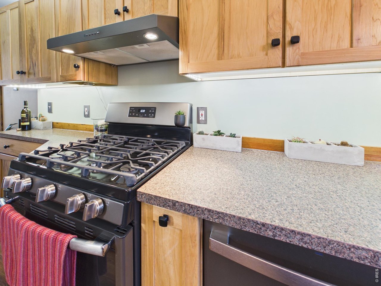 131 West Boulder Street Nederland, CO 80466 - Photo 13 of 46 Black and stainless dishwasher, gas stove, cabinet lighting, smooth surfaces.