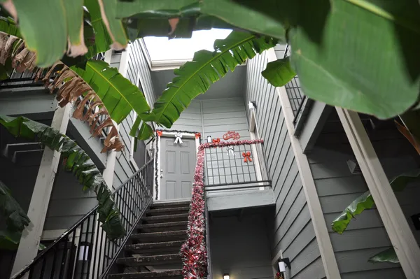 $1,250 | 3754 Tanglewilde Street, Unit C16, Houston, TX 77063
