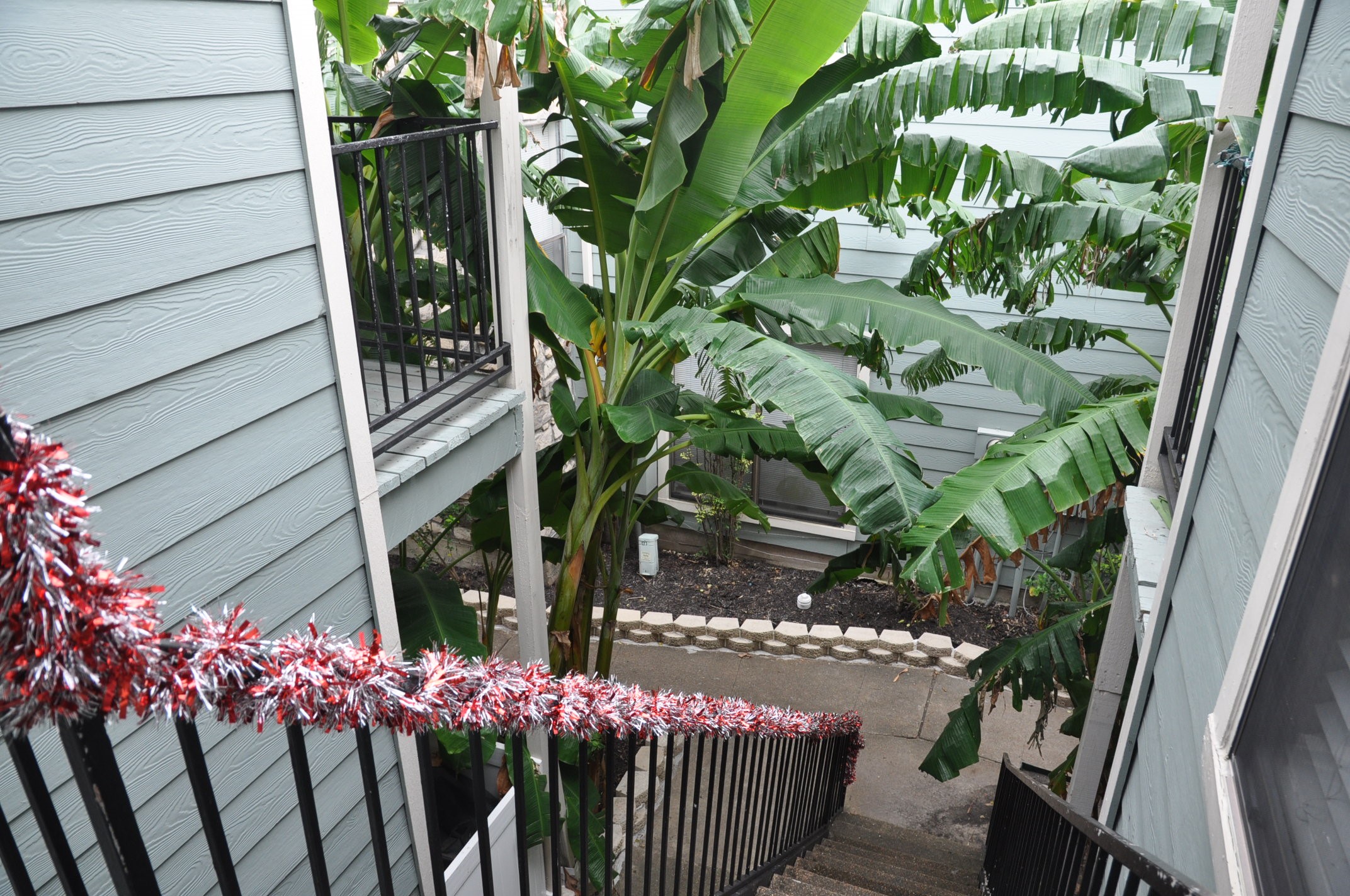 3754 Tanglewilde Street, Unit C16 Houston, TX 77063 - Photo 29 of 33