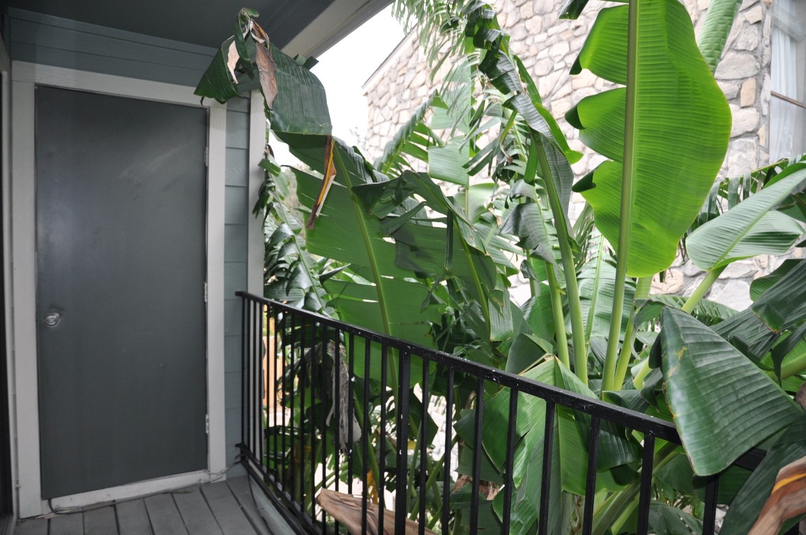3754 Tanglewilde Street, Unit C16 Houston, TX 77063 - Photo 4 of 33