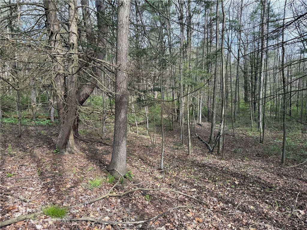 9155 Smith Road Lindley, NY 14870 - Photo 11 of 33