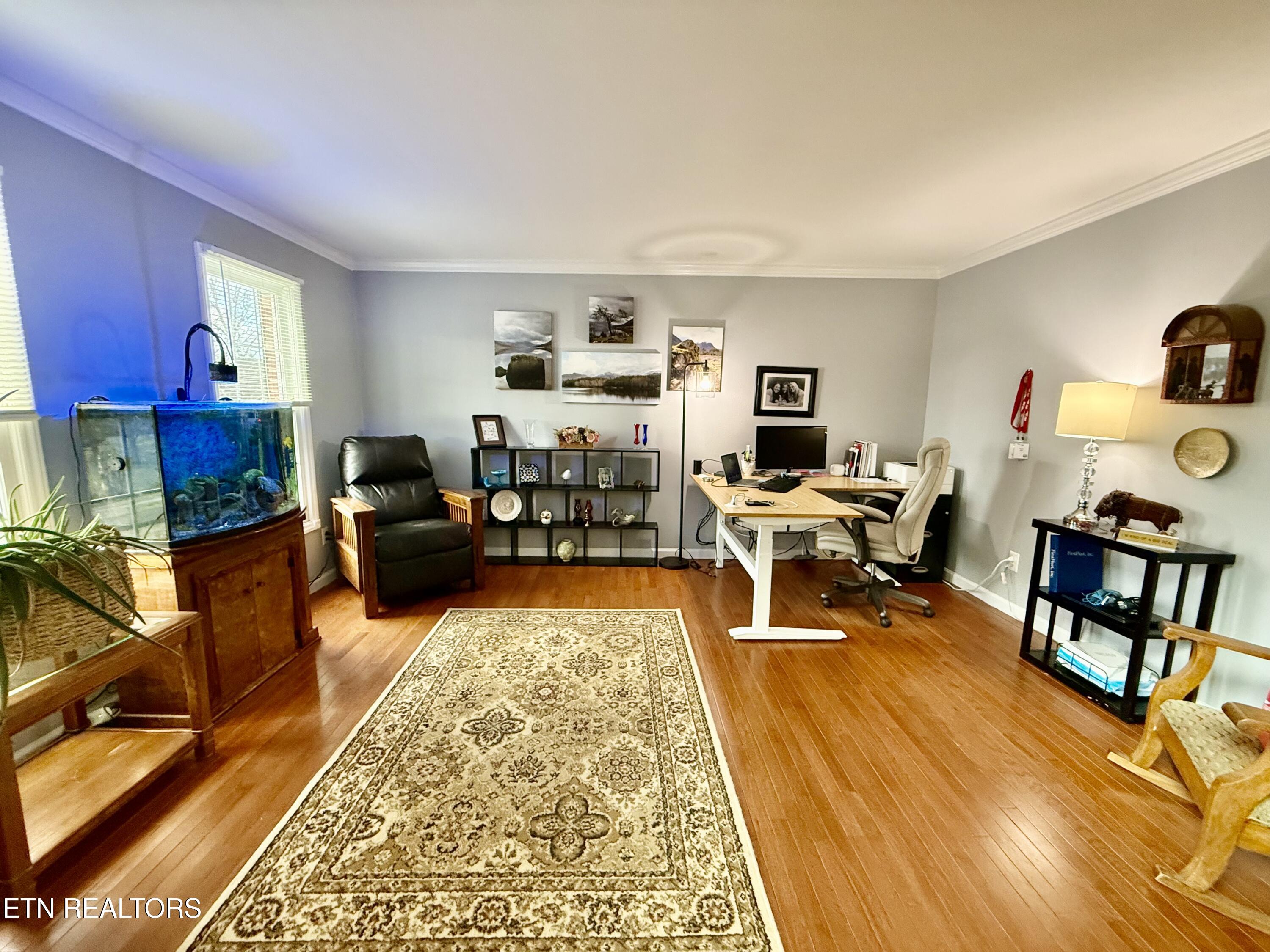 124 Lazy Lane Gray, TN 37615 - Photo 17 of 25 IMG_4513