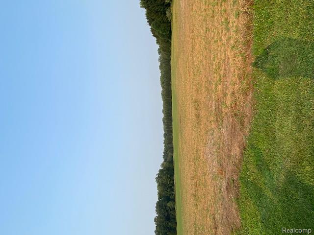 7762 Mason Road Yale, MI 48097 - Photo 17 of 40