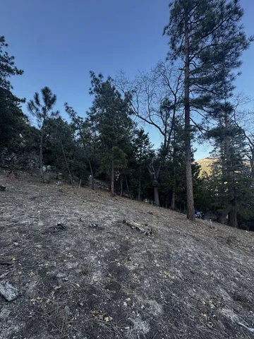 a big yard with lots of green space