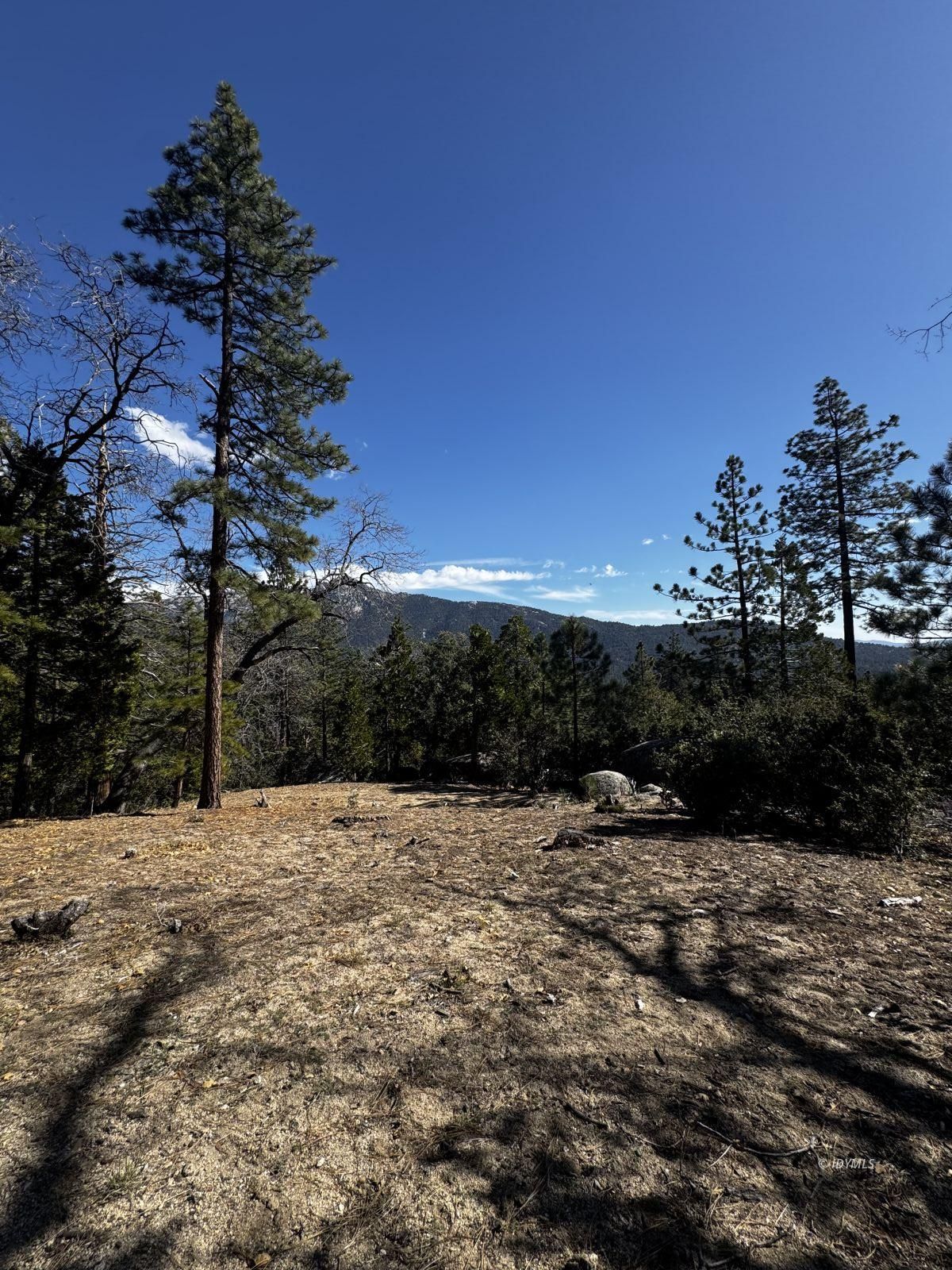25327 Scenic View Drive Idyllwild, CA 92549 - Photo 11 of 39 Untitled