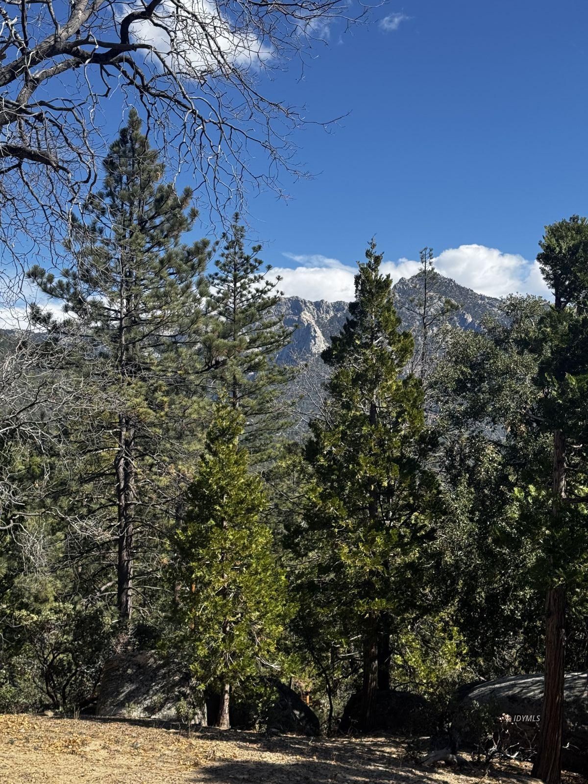 25327 Scenic View Drive Idyllwild, CA 92549 - Photo 14 of 39 Untitled