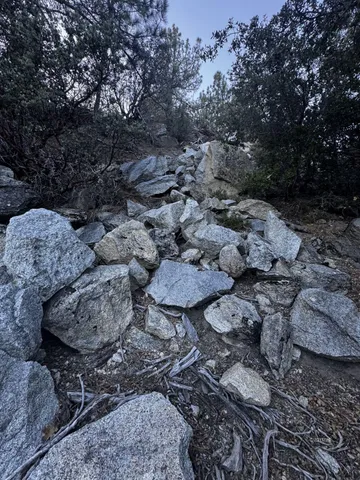 $185,000 | 25327 Scenic View Drive, Idyllwild, CA 92549