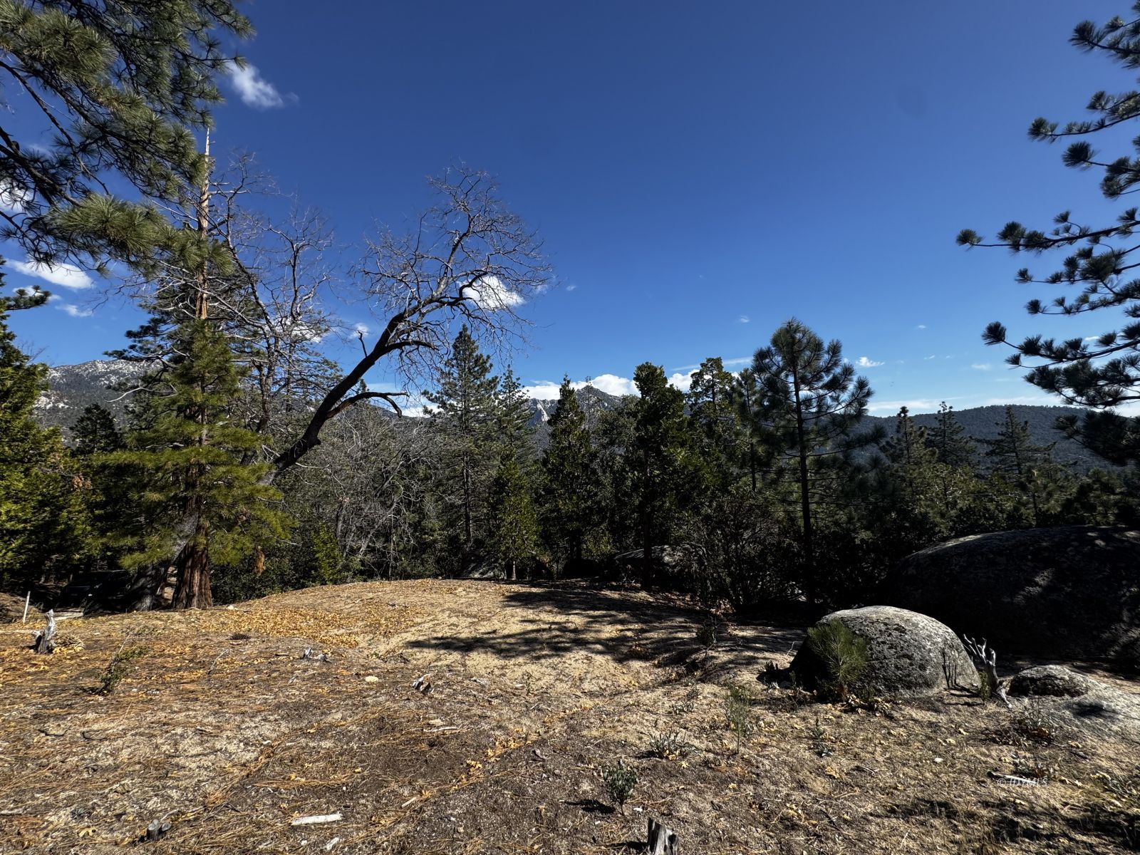 25327 Scenic View Drive Idyllwild, CA 92549 - Photo 15 of 39 Untitled