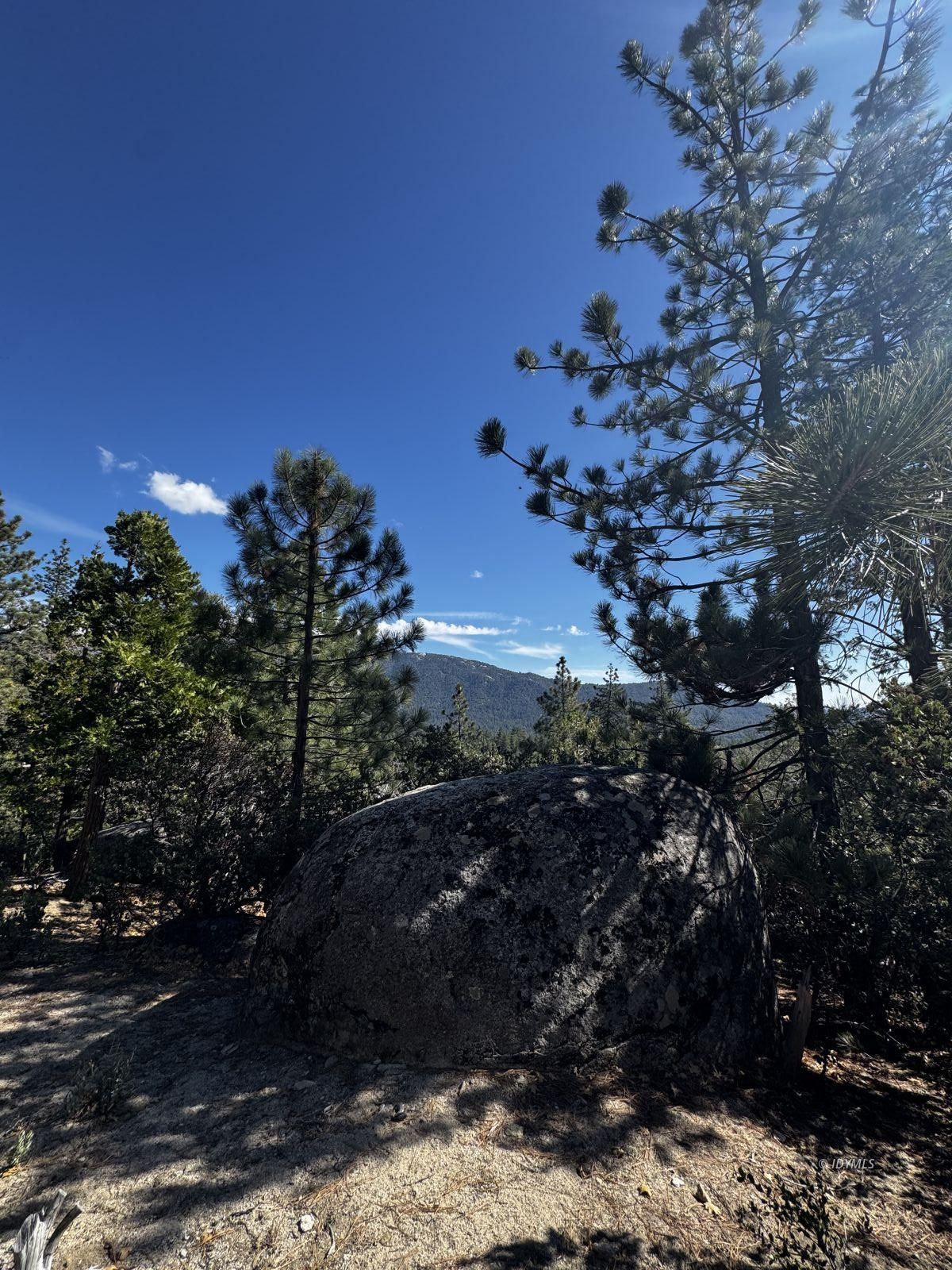 25327 Scenic View Drive Idyllwild, CA 92549 - Photo 16 of 39 Untitled