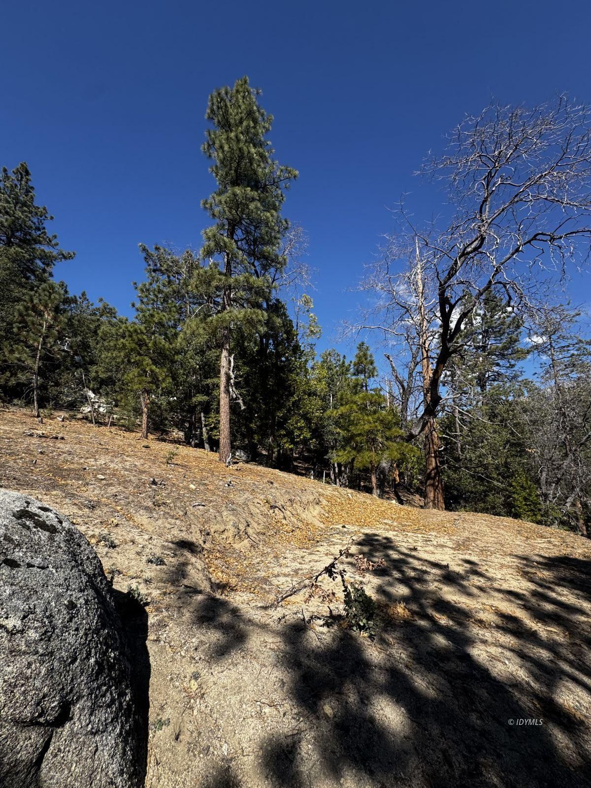 25327 Scenic View Drive Idyllwild, CA 92549 - Photo 18 of 39 Untitled