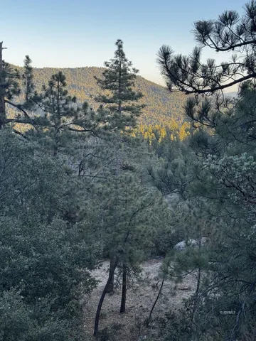 a view of outdoor space and yard