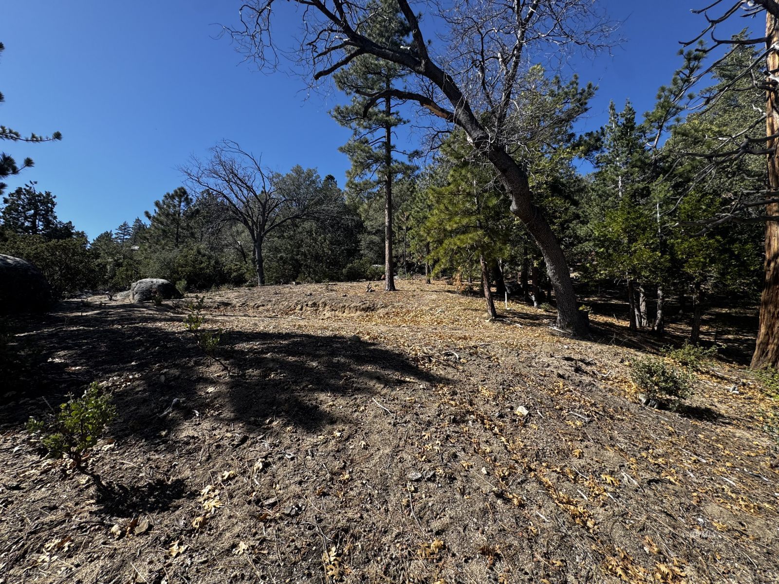 25327 Scenic View Drive Idyllwild, CA 92549 - Photo 19 of 39 Untitled