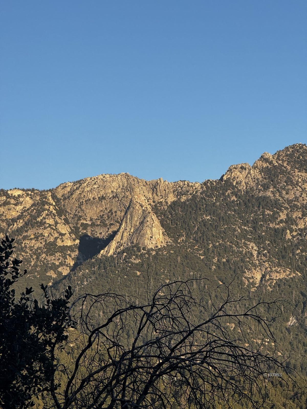 25327 Scenic View Drive Idyllwild, CA 92549 - Photo 2 of 39 Untitled