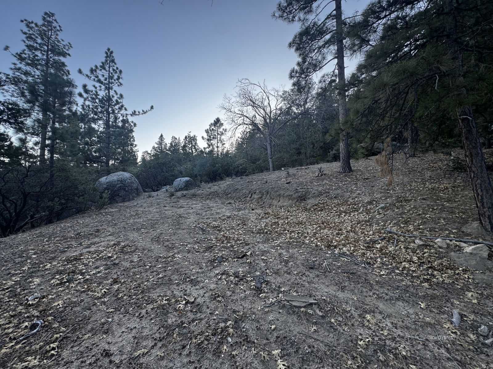 25327 Scenic View Drive Idyllwild, CA 92549 - Photo 23 of 39 Untitled