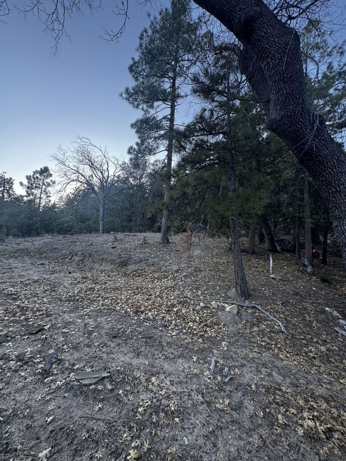 25327 Scenic View Drive Idyllwild, CA 92549 - Photo 26 of 39 Untitled