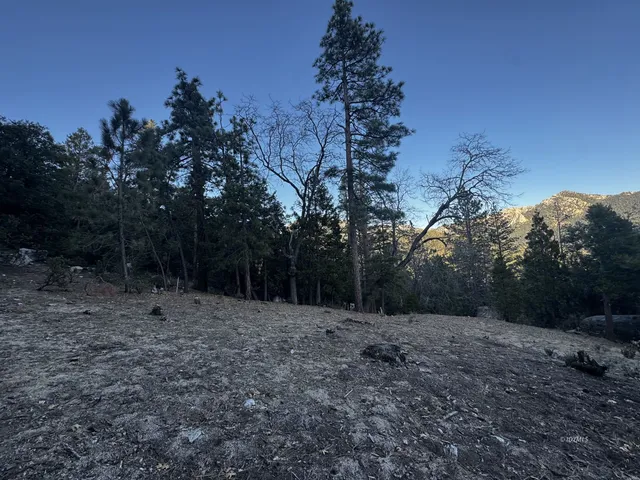 $185,000 | 25327 Scenic View Drive, Idyllwild, CA 92549