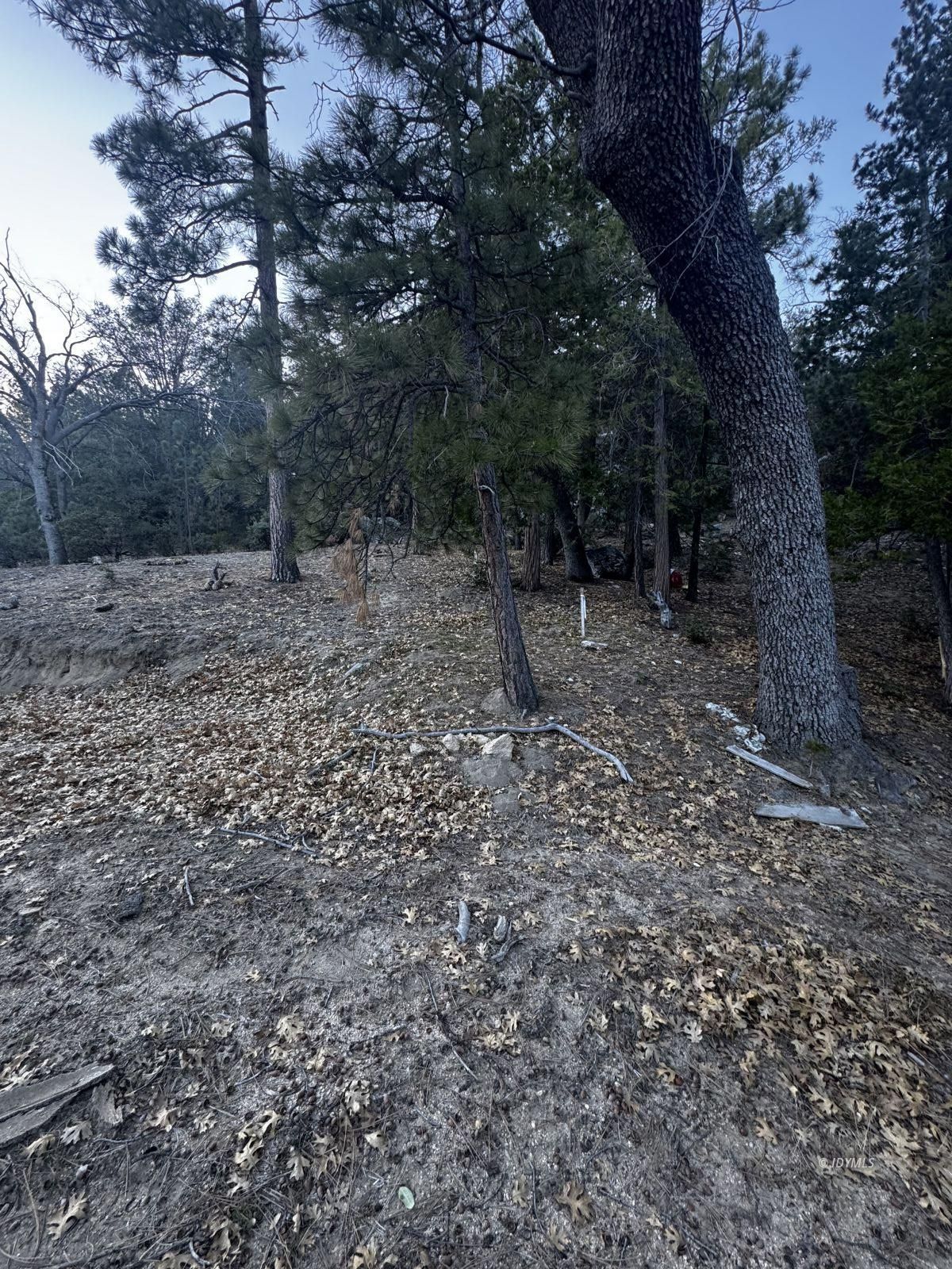 25327 Scenic View Drive Idyllwild, CA 92549 - Photo 27 of 39 Untitled