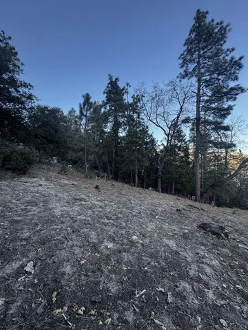$185,000 | 25327 Scenic View Drive, Idyllwild, CA 92549