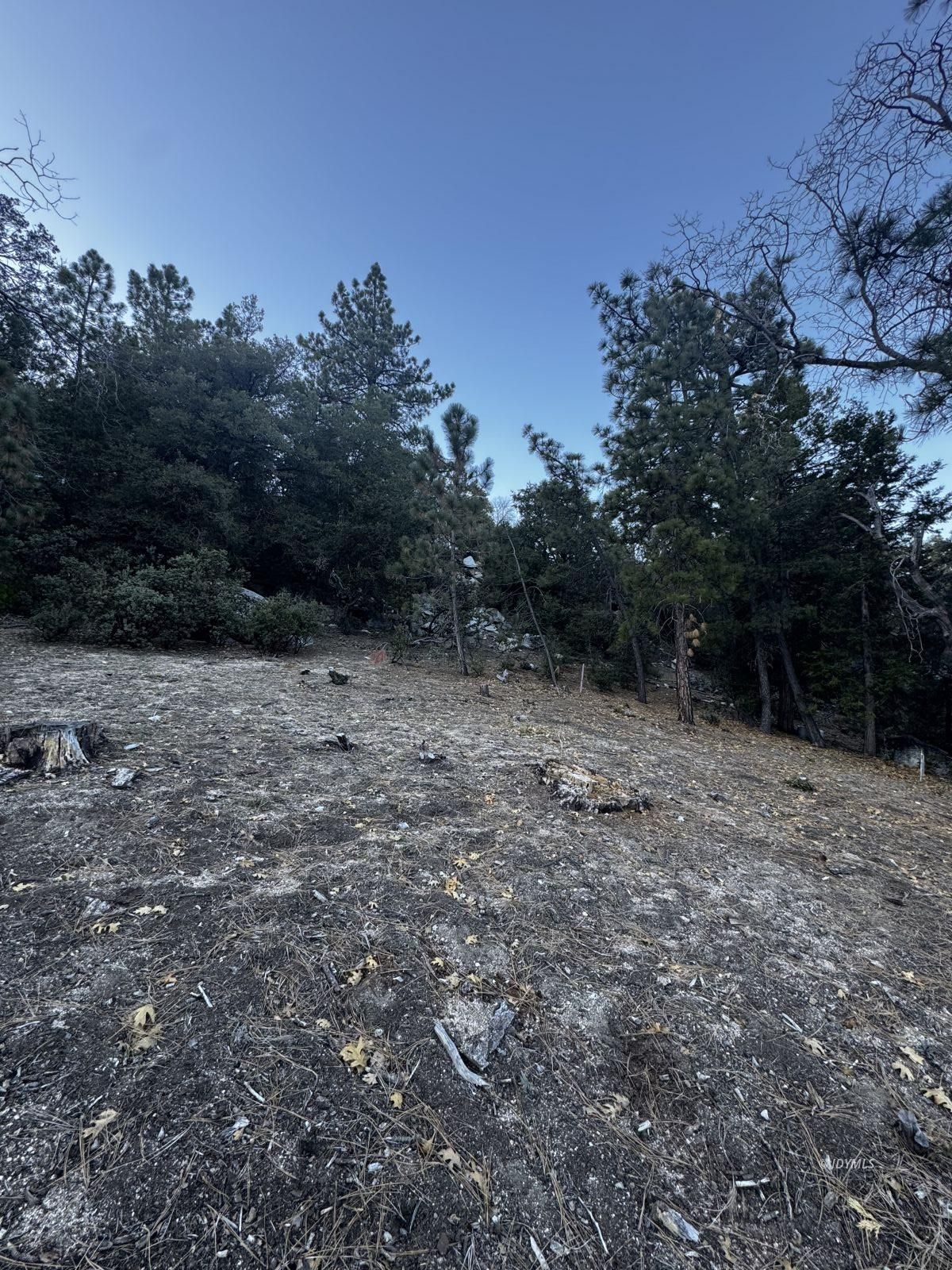 25327 Scenic View Drive Idyllwild, CA 92549 - Photo 28 of 39 Untitled