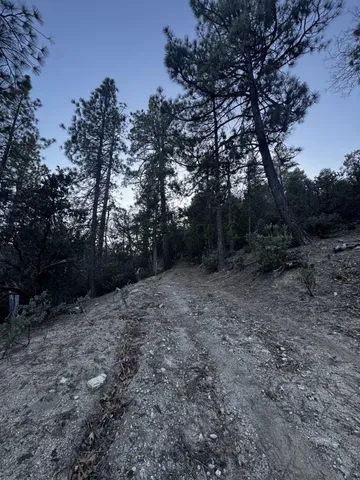 $185,000 | 25327 Scenic View Drive, Idyllwild, CA 92549