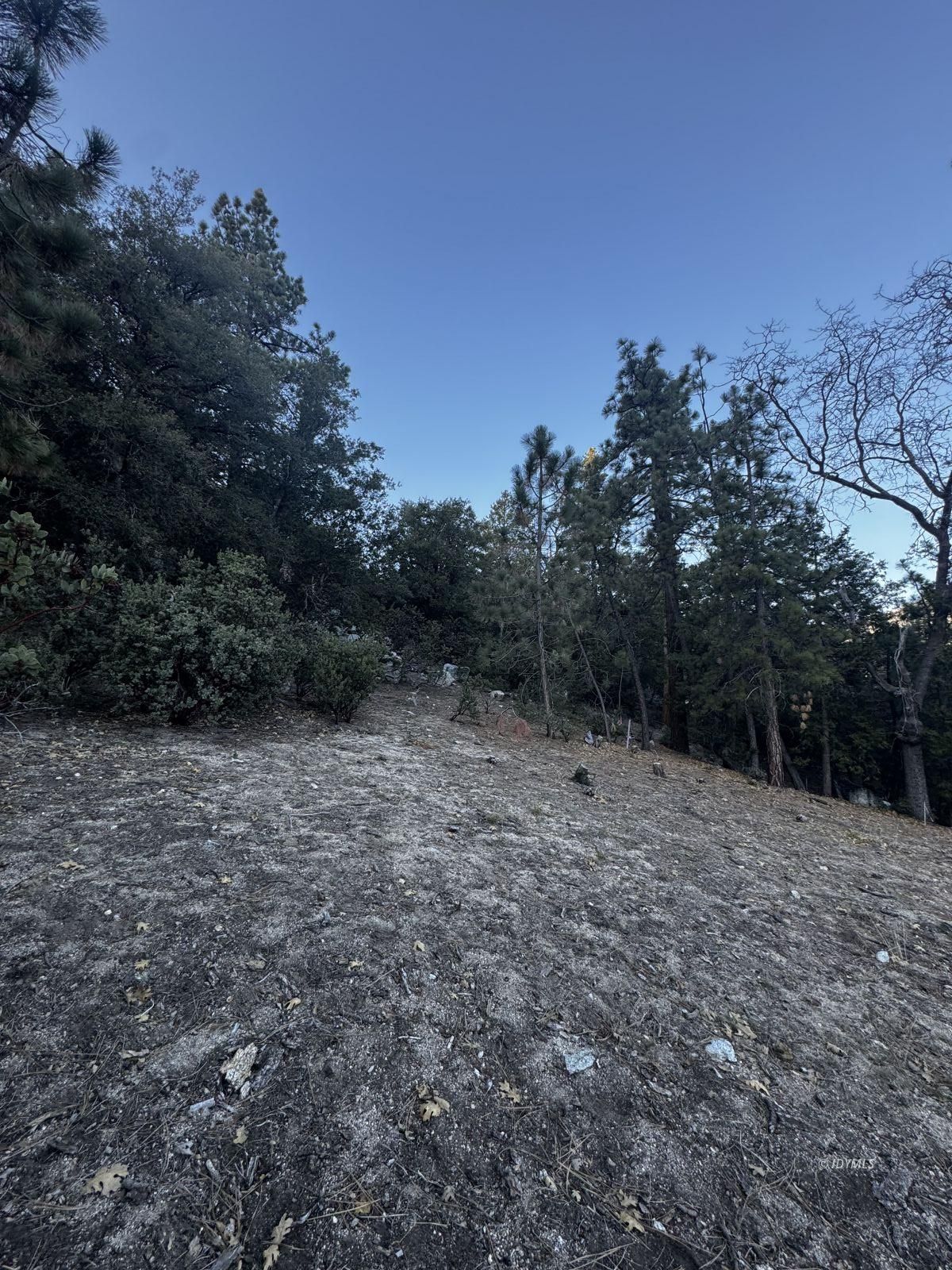 25327 Scenic View Drive Idyllwild, CA 92549 - Photo 31 of 39 Untitled