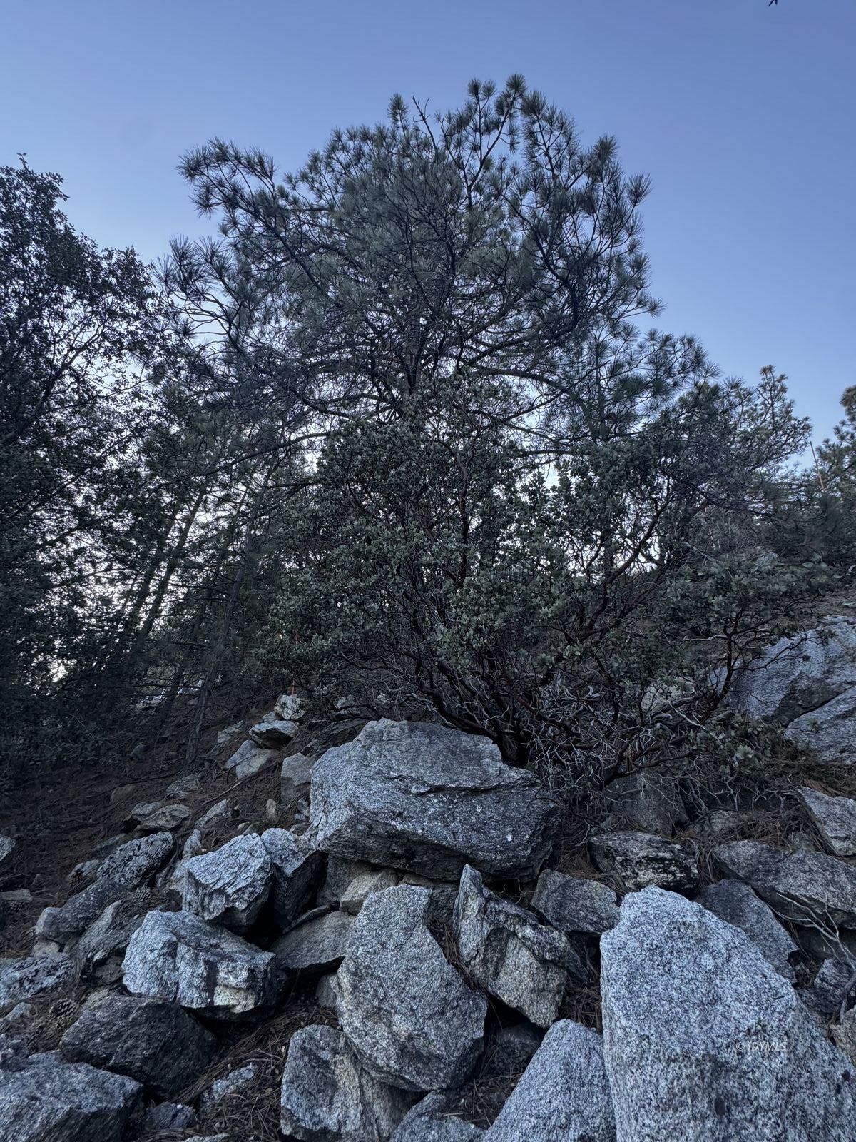 25327 Scenic View Drive Idyllwild, CA 92549 - Photo 33 of 39 Untitled