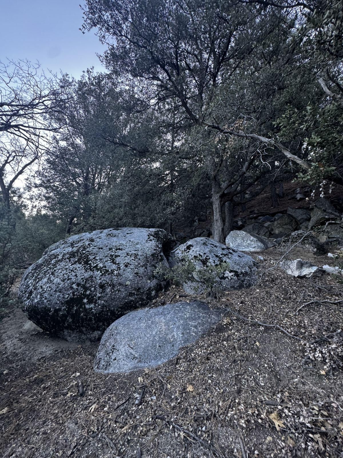 25327 Scenic View Drive Idyllwild, CA 92549 - Photo 34 of 39 Untitled