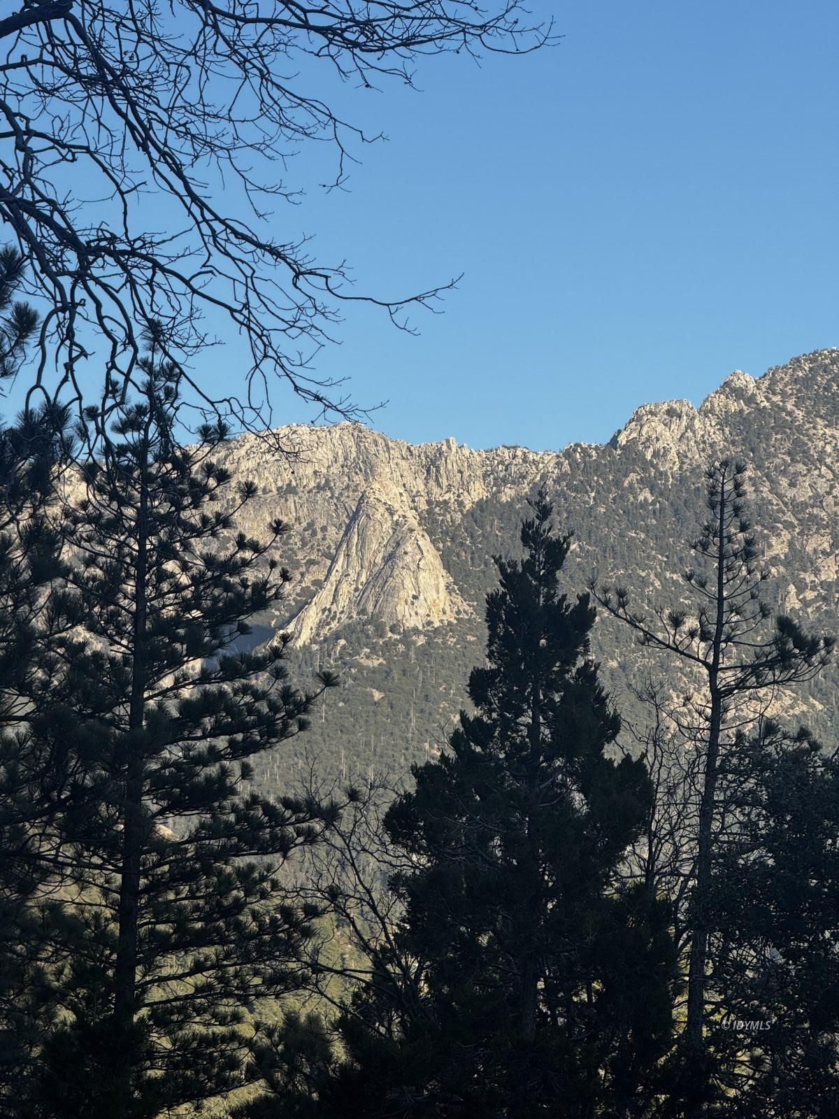 25327 Scenic View Drive Idyllwild, CA 92549 - Photo 37 of 39 Untitled