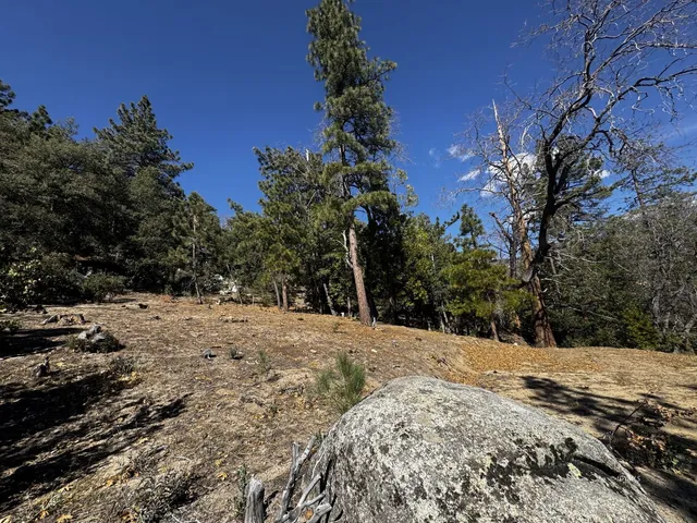 $185,000 | 25327 Scenic View Drive, Idyllwild, CA 92549