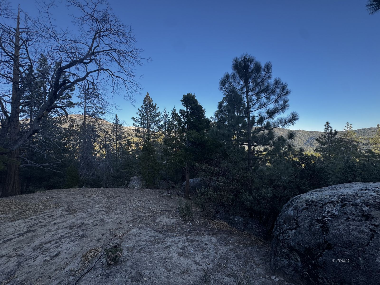 25327 Scenic View Drive Idyllwild, CA 92549 - Photo 38 of 39 Untitled