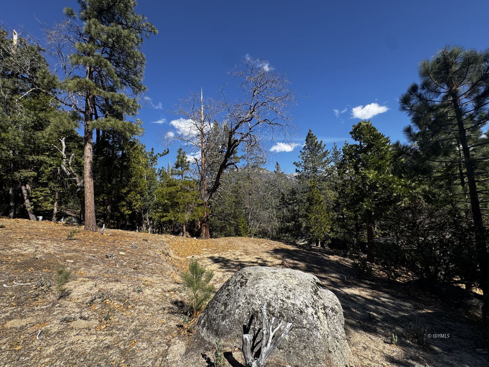 25327 Scenic View Drive Idyllwild, CA 92549 - Photo 5 of 39 Untitled