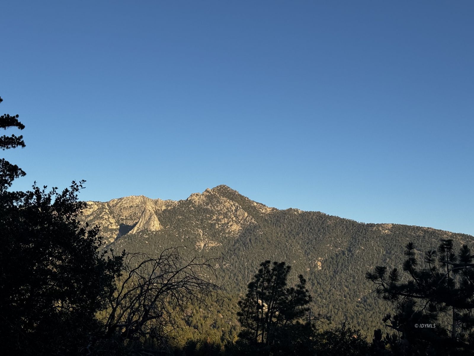 25327 Scenic View Drive Idyllwild, CA 92549 - Photo 7 of 39 Untitled