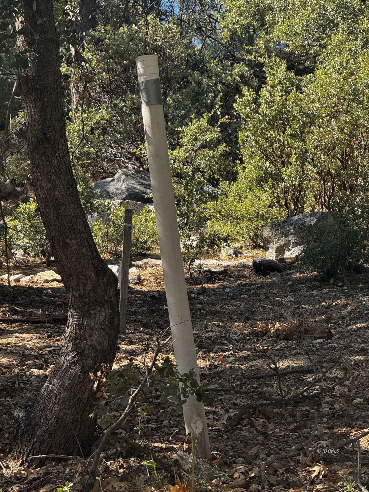 25327 Scenic View Drive Idyllwild, CA 92549 - Photo 8 of 39 Untitled