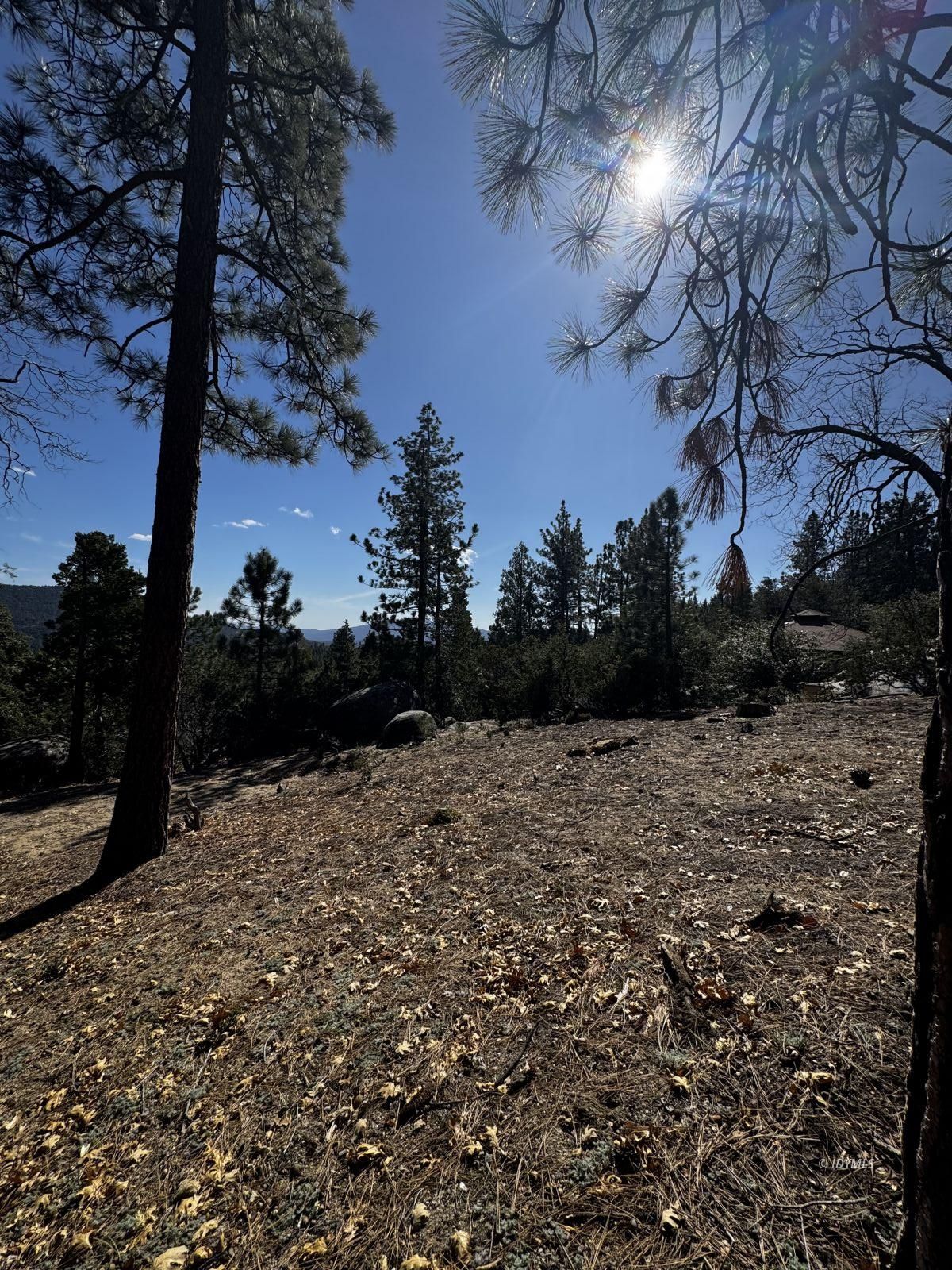 25327 Scenic View Drive Idyllwild, CA 92549 - Photo 9 of 39 Untitled