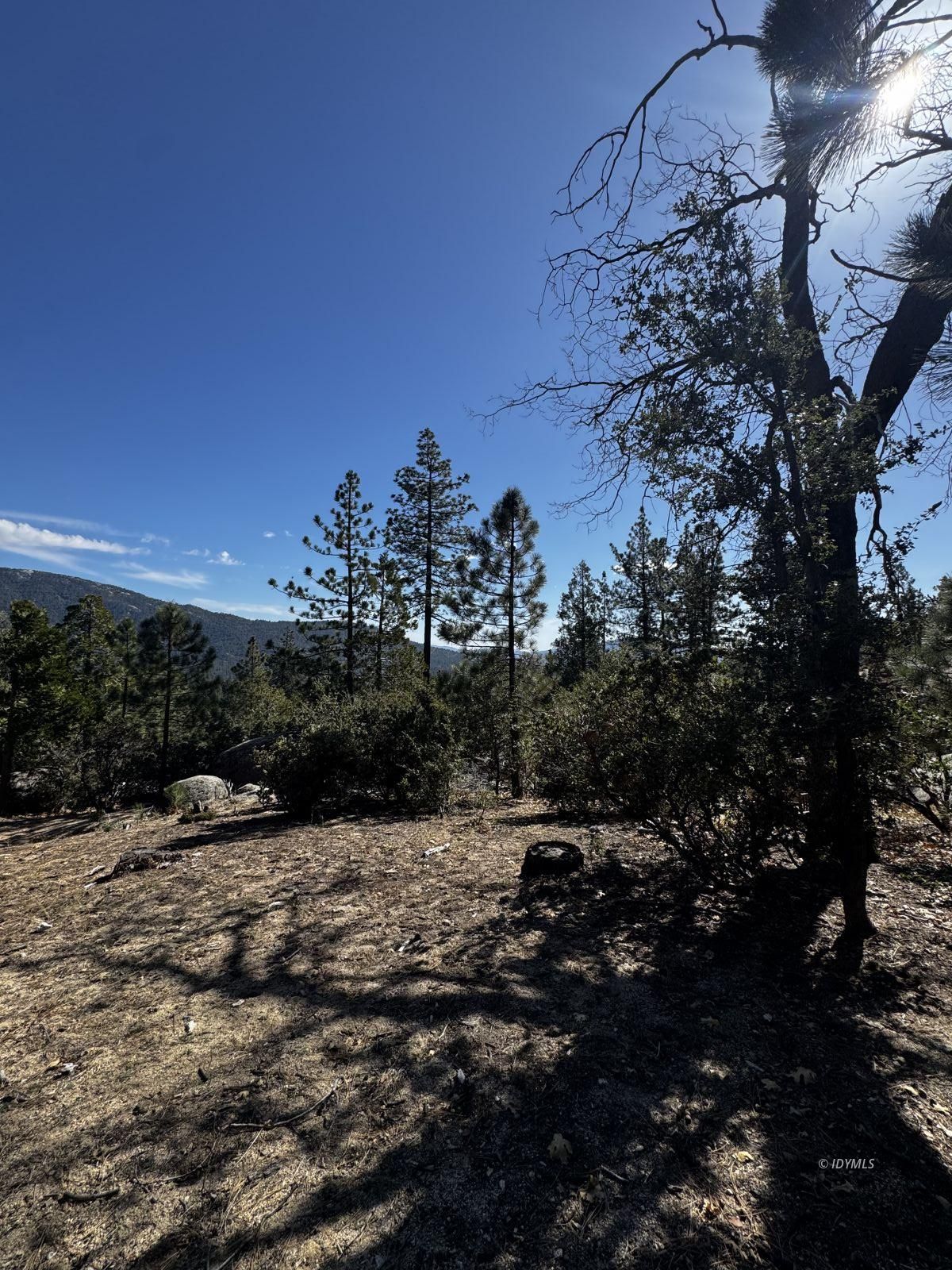 25327 Scenic View Drive Idyllwild, CA 92549 - Photo 10 of 39 Untitled