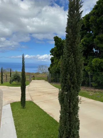 a view of street with view of trees